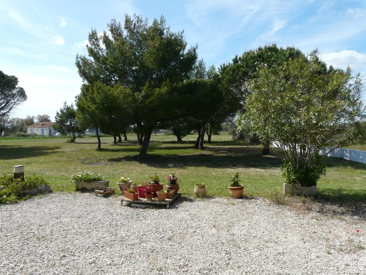 Mas Du Clos De La Barque Saintes-Maries-de-la-Mer Exteriör bild