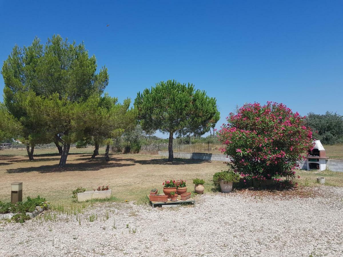 Mas Du Clos De La Barque Saintes-Maries-de-la-Mer Exteriör bild